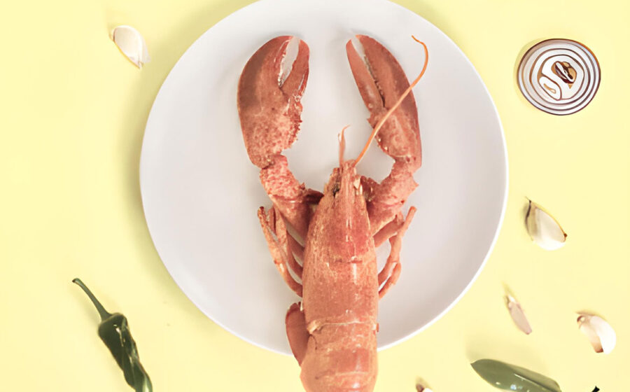 post-travel-bg-27 post-travel-bg-27